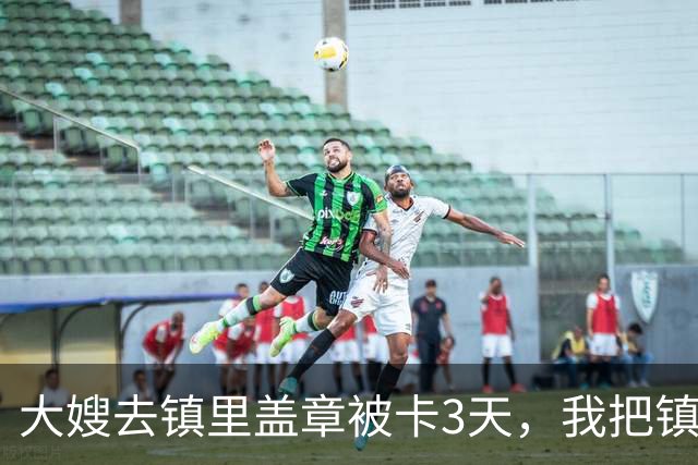 大嫂去镇里盖章被卡3天，我把镇长叫来：今天不盖，就别当镇长了