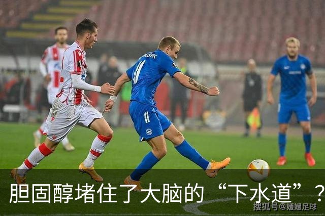 胆固醇堵住了大脑的“下水道”？阿尔茨海默小鼠实验给出线索